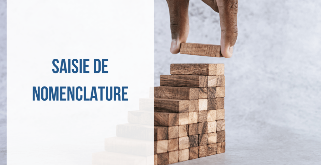 Saisie de nomenclature